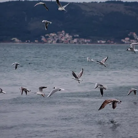 Ante Anita * Kaštela